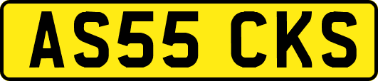 AS55CKS