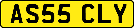 AS55CLY