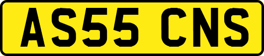 AS55CNS