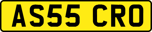 AS55CRO