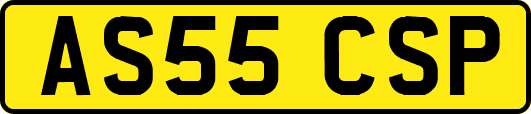 AS55CSP