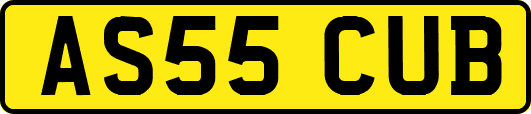 AS55CUB