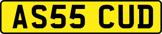 AS55CUD
