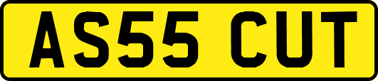AS55CUT