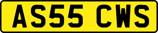 AS55CWS