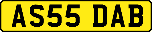 AS55DAB