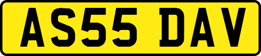 AS55DAV