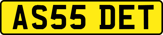 AS55DET