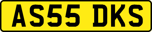 AS55DKS