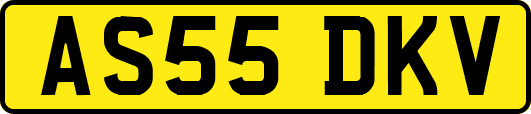 AS55DKV