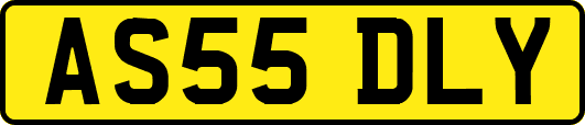 AS55DLY