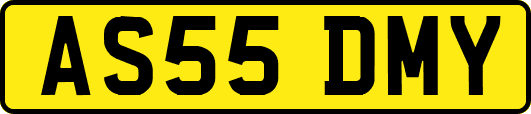 AS55DMY