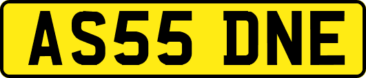 AS55DNE
