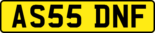 AS55DNF