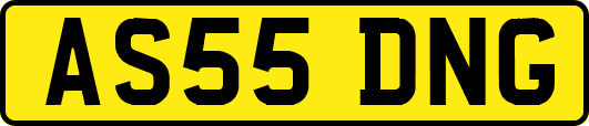 AS55DNG