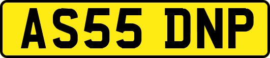 AS55DNP