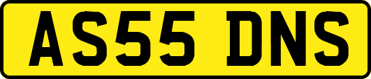 AS55DNS