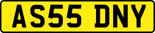 AS55DNY