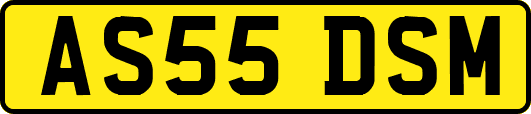 AS55DSM