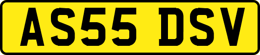 AS55DSV