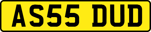 AS55DUD