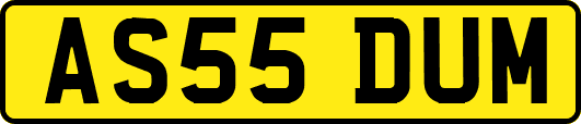 AS55DUM
