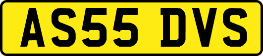 AS55DVS