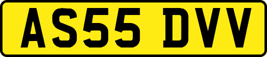 AS55DVV
