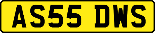 AS55DWS