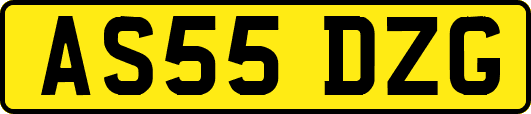AS55DZG