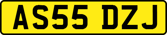AS55DZJ