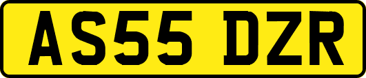 AS55DZR