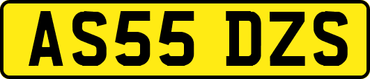 AS55DZS