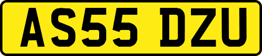 AS55DZU