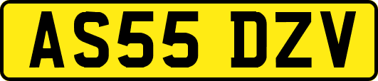 AS55DZV