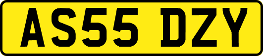 AS55DZY