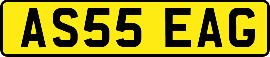 AS55EAG