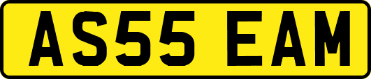 AS55EAM