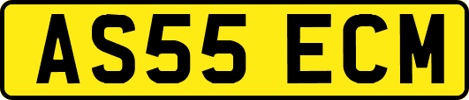 AS55ECM