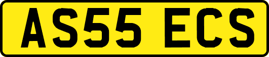 AS55ECS