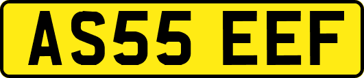 AS55EEF