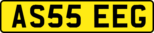 AS55EEG