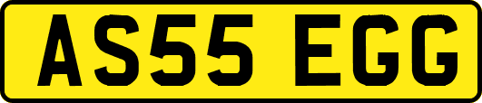 AS55EGG