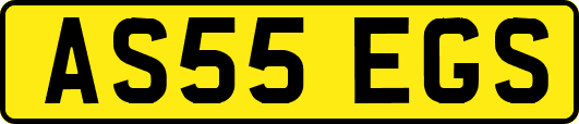 AS55EGS