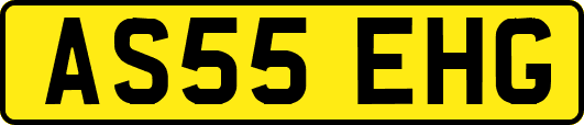 AS55EHG