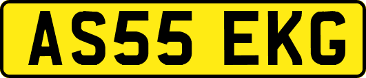 AS55EKG