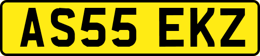 AS55EKZ