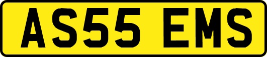 AS55EMS