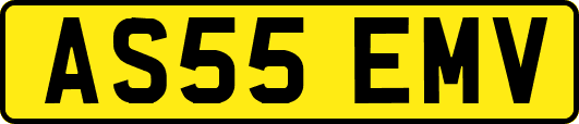 AS55EMV