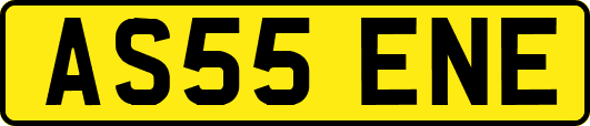 AS55ENE